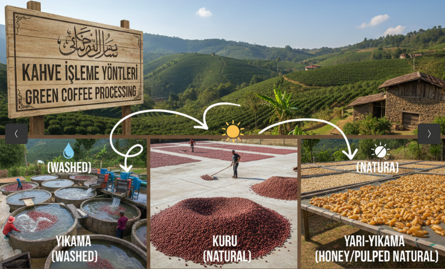 Kahve İşleme Yöntemleri